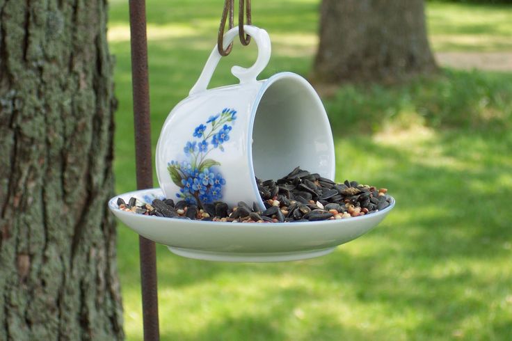 Кормушка для птиц: «столовая» для пернатых и украшение сада