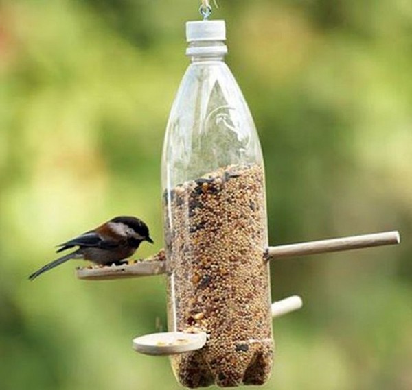 🕊 Кормушка для птиц из пластиковой бутылки: идеи и советы по изготовлению.